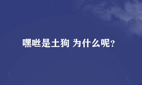 嘿咝是土狗 为什么呢？