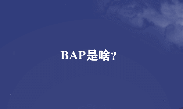 BAP是啥？