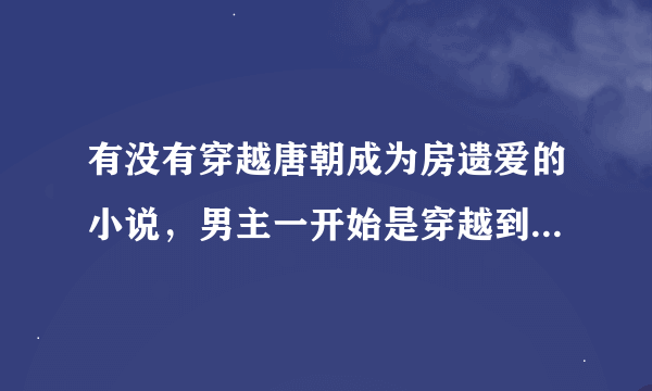 有没有穿越唐朝成为房遗爱的小说，男主一开始是穿越到与高阳公主成亲的时候，好像高阳公主和他洞房，于是