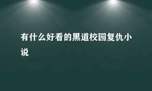 有什么好看的黑道校园复仇小说