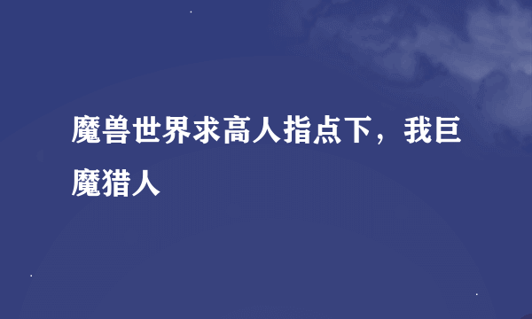 魔兽世界求高人指点下，我巨魔猎人