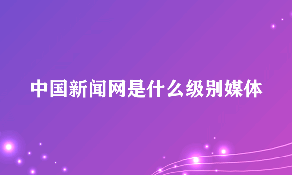 中国新闻网是什么级别媒体