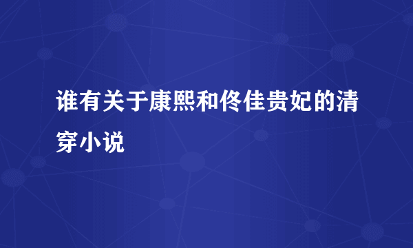 谁有关于康熙和佟佳贵妃的清穿小说