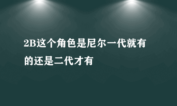 2B这个角色是尼尔一代就有的还是二代才有