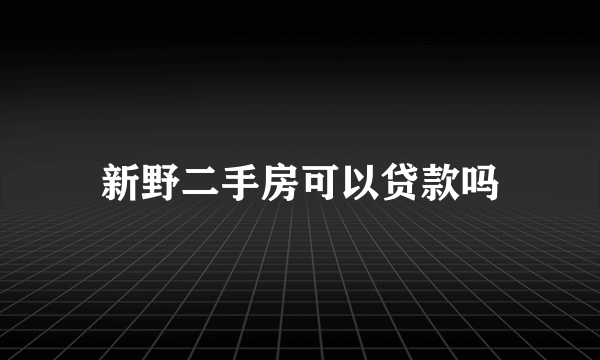 新野二手房可以贷款吗