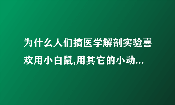 为什么人们搞医学解剖实验喜欢用小白鼠,用其它的小动物不行吗?为什么一定要用小白鼠?