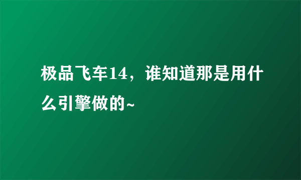 极品飞车14，谁知道那是用什么引擎做的~