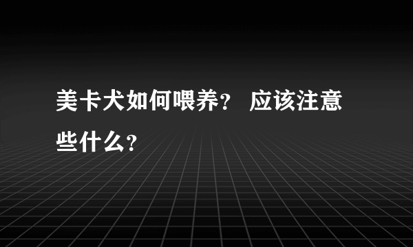 美卡犬如何喂养？ 应该注意些什么？