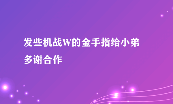 发些机战W的金手指给小弟  多谢合作