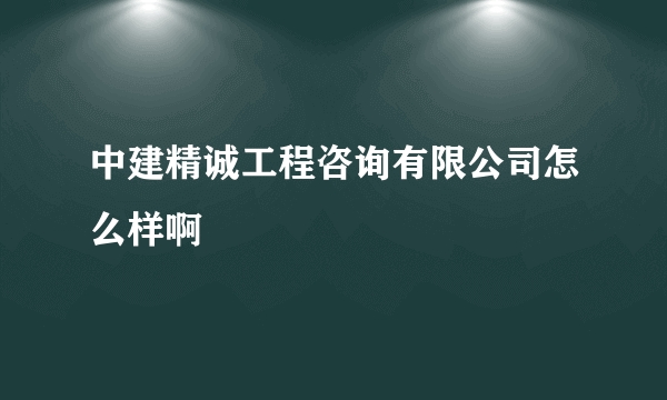 中建精诚工程咨询有限公司怎么样啊