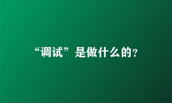 “调试”是做什么的？