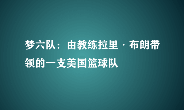 梦六队：由教练拉里·布朗带领的一支美国篮球队