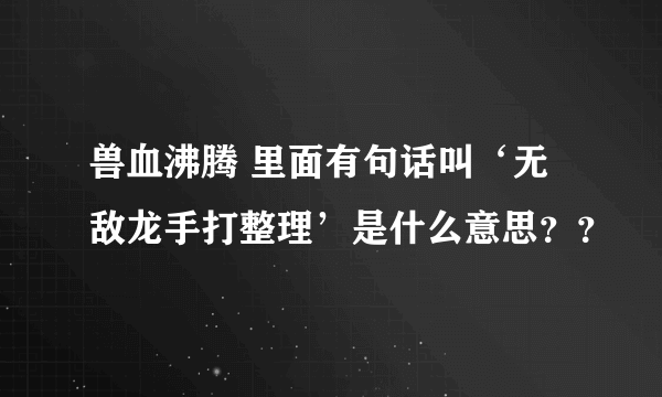 兽血沸腾 里面有句话叫‘无敌龙手打整理’是什么意思？？