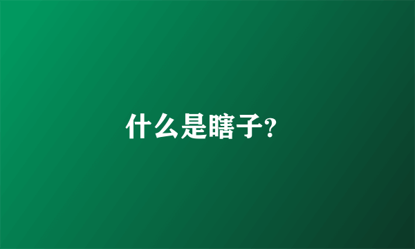 什么是瞎子？