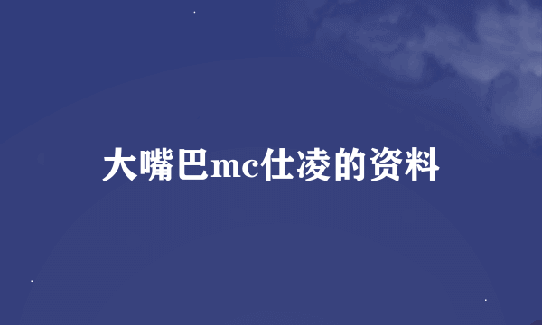 大嘴巴mc仕凌的资料