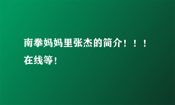 南拳妈妈里张杰的简介！！！在线等！