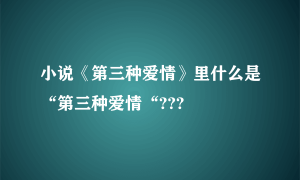 小说《第三种爱情》里什么是“第三种爱情“???