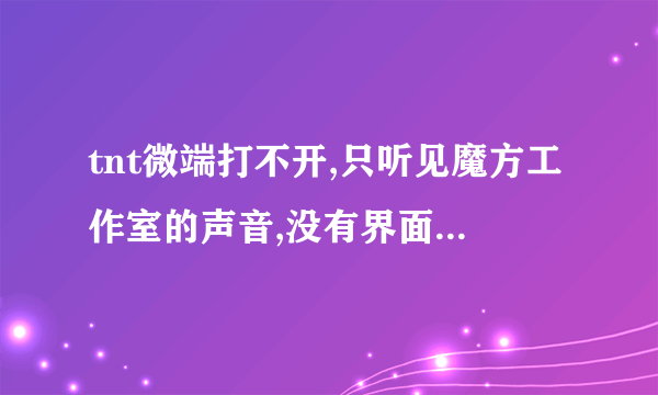 tnt微端打不开,只听见魔方工作室的声音,没有界面,是怎么了??