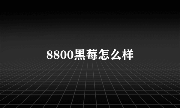 8800黑莓怎么样