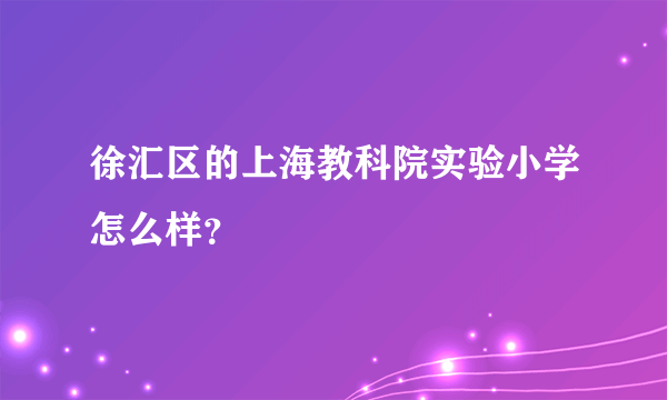 徐汇区的上海教科院实验小学怎么样？