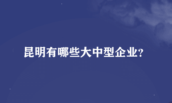 昆明有哪些大中型企业？