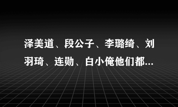 泽美道、段公子、李璐绮、刘羽琦、连勋、白小俺他们都是什么人啊？什么关系？