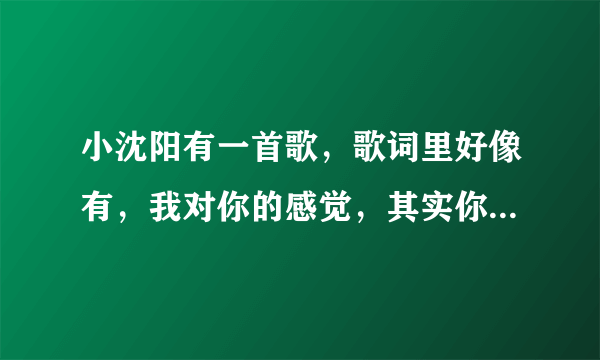 小沈阳有一首歌，歌词里好像有，我对你的感觉，其实你懂的，什么歌啊？