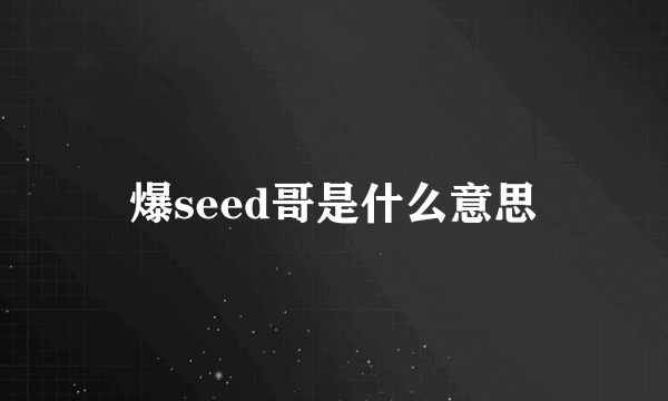 爆seed哥是什么意思