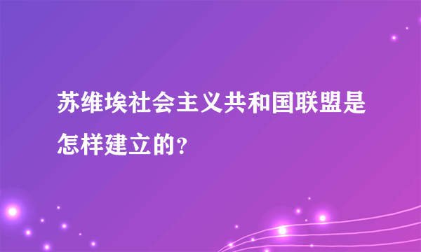 苏维埃社会主义共和国联盟是怎样建立的？