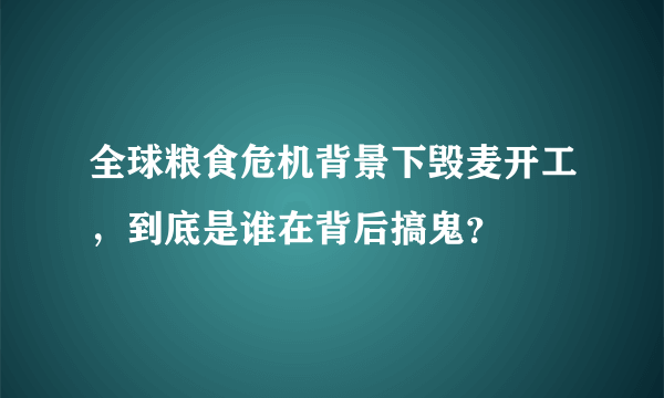 全球粮食危机背景下毁麦开工，到底是谁在背后搞鬼？