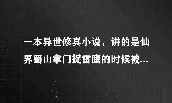 一本异世修真小说，讲的是仙界蜀山掌门捉雷鹰的时候被雷劈到异世，附身在一个刚想强奸公主而未遂的人身上