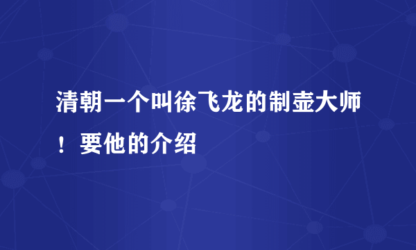 清朝一个叫徐飞龙的制壶大师！要他的介绍