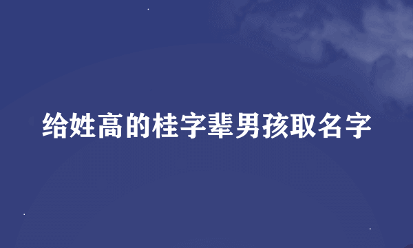 给姓高的桂字辈男孩取名字