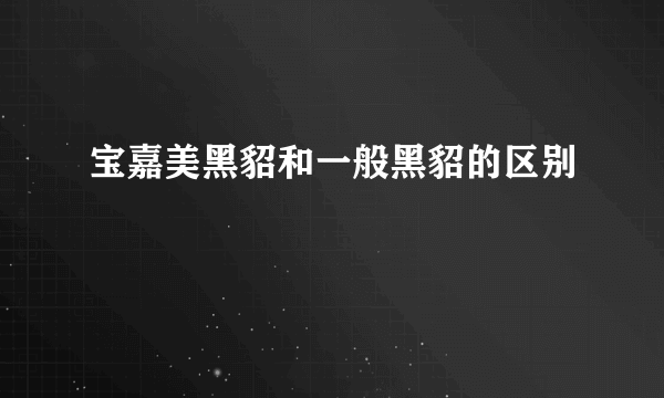 宝嘉美黑貂和一般黑貂的区别