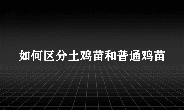 如何区分土鸡苗和普通鸡苗