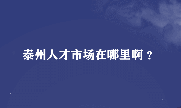 泰州人才市场在哪里啊 ？