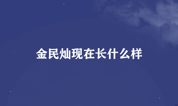 金民灿现在长什么样