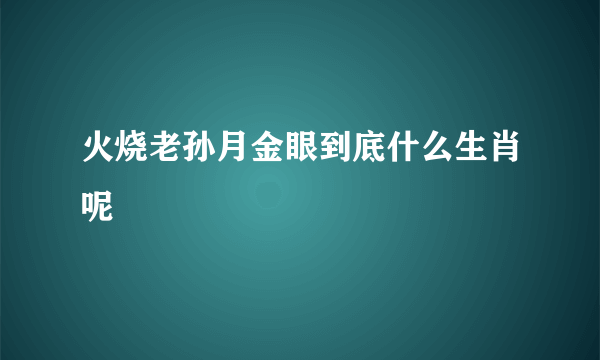 火烧老孙月金眼到底什么生肖呢