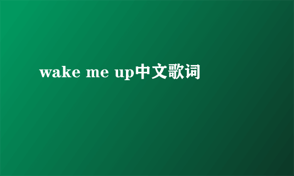 wake me up中文歌词