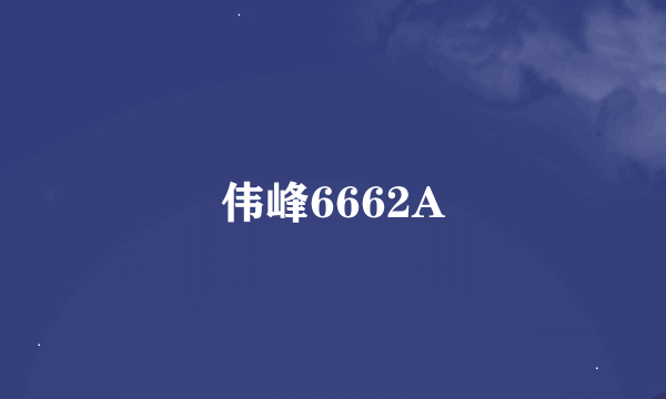 伟峰6662A