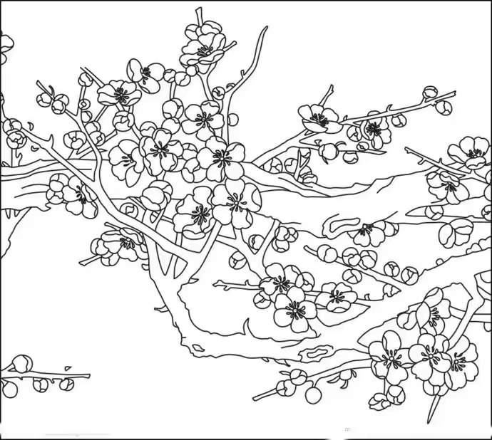 梅花简笔画图片