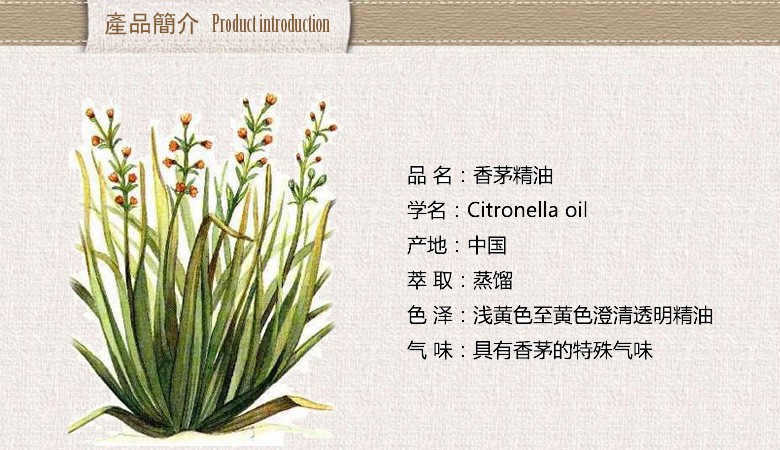 香茅油（Citronella oil）是做什么的？它是种什么东西