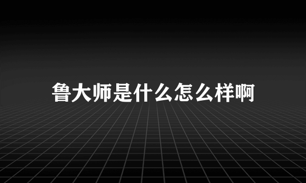 鲁大师是什么怎么样啊