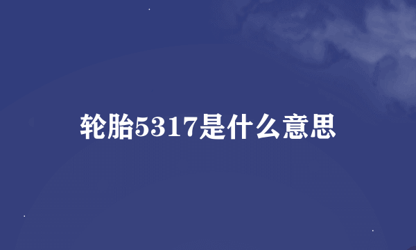 轮胎5317是什么意思