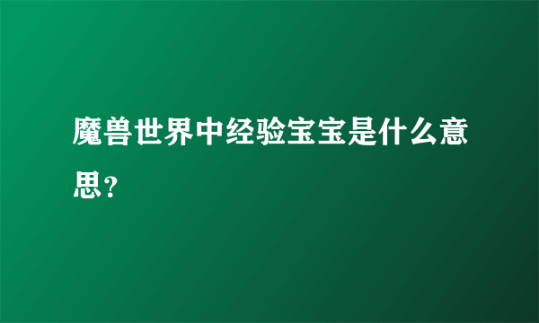 魔兽世界中经验宝宝是什么意思？