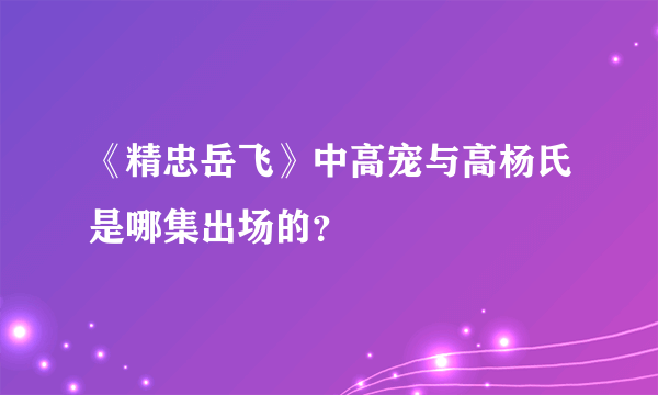 《精忠岳飞》中高宠与高杨氏是哪集出场的？