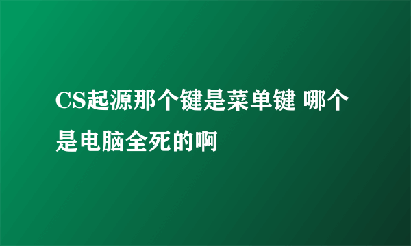 CS起源那个键是菜单键 哪个是电脑全死的啊