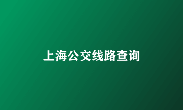 上海公交线路查询