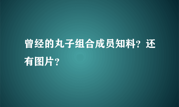 曾经的丸子组合成员知料？还有图片？