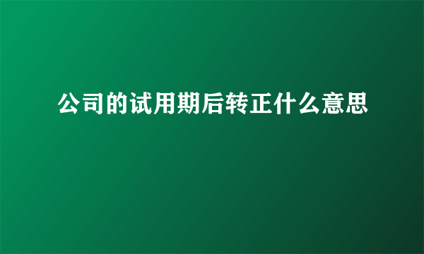 公司的试用期后转正什么意思